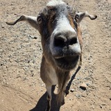 Entry image for Danny