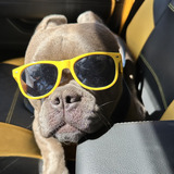 Entry image for Pork Chop