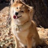 Entry image for Butter