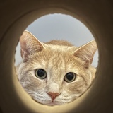 Entry image for Diez