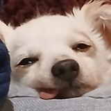 Entry image for ZOEY