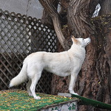 Entry image for Fiona