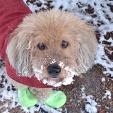 Entry image for Freddie