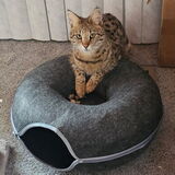 Entry image for Sophie