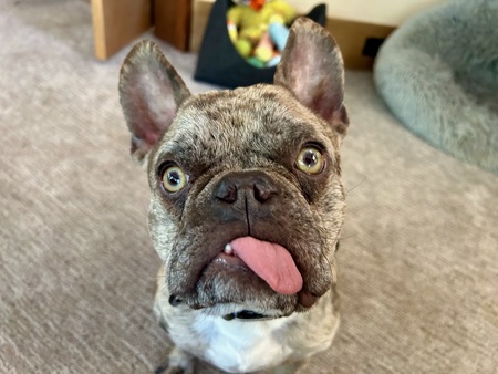 Entry image for Jawzy. Clicking this image will show a larger photo