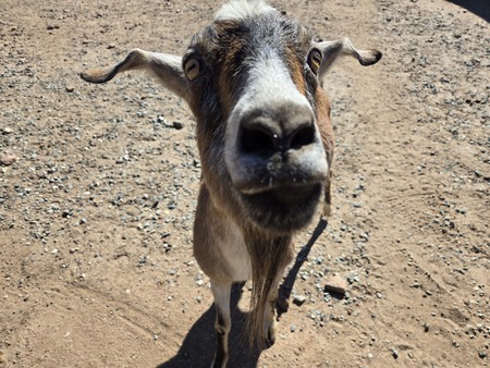 Entry image for Danny. Clicking this image will show a larger photo