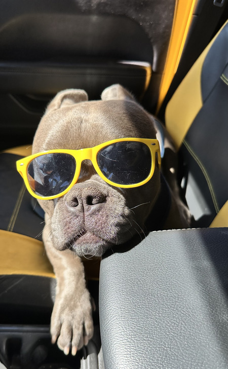 Entry image for Pork Chop. Clicking this image will show a larger photo