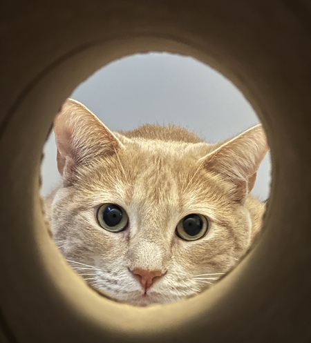 Entry image for Diez. Clicking this image will show a larger photo