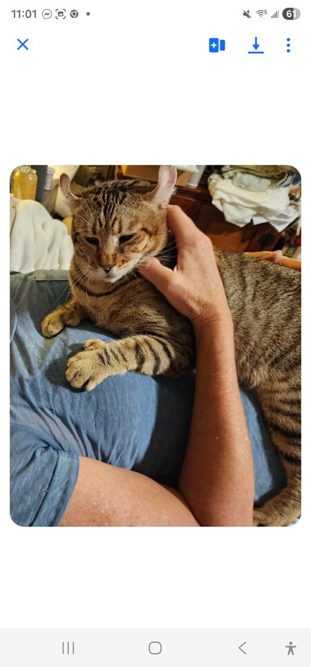 Entry image for Little Man. Clicking this image will show a larger photo