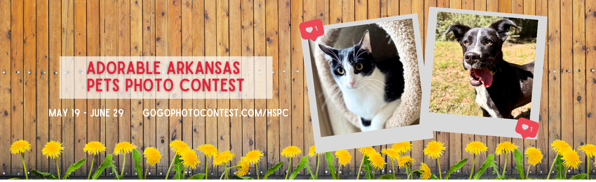Banner for HSPC's 8th Adorable Arkansas Pets Photo Contest