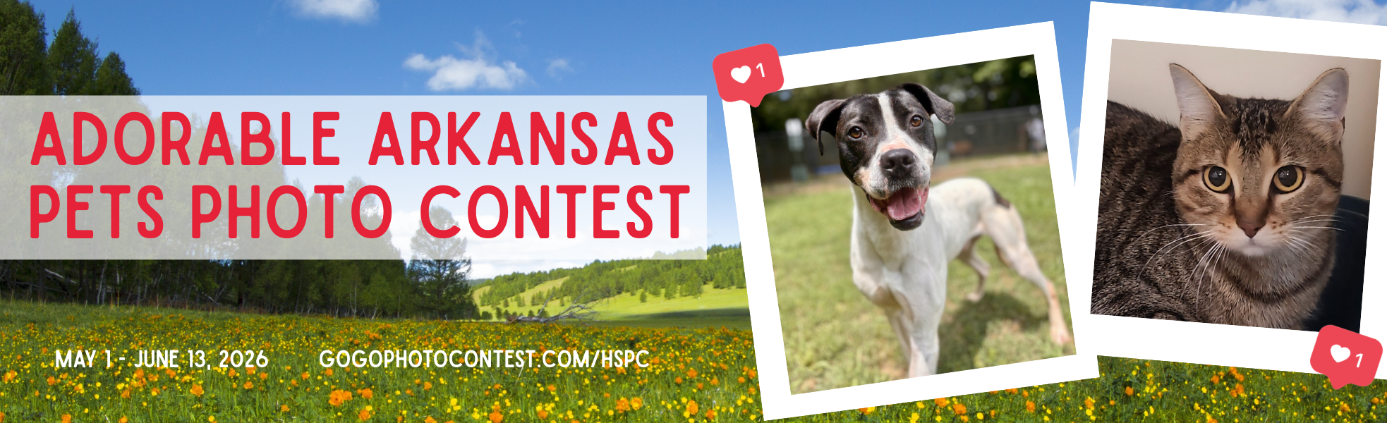 Banner for HSPC's 8th Adorable Arkansas Pets Photo Contest