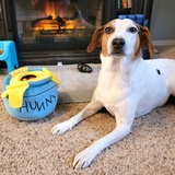 Entry image for Nubbins