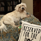 Entry image for Reggie