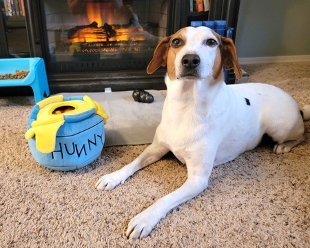 Entry image for Nubbins. Clicking this image will show a larger photo
