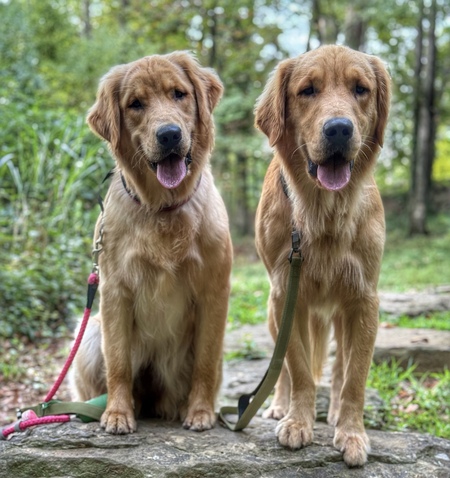 Entry image for Harper and Barley. Clicking this image will show a larger photo