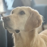 Entry image for Leah