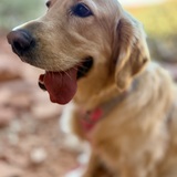 Entry image for Macy