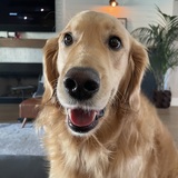 Entry image for Howard