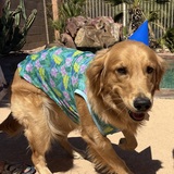 Entry image for Willy