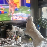 Entry image for Teddy