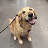 Entry image for Charlie