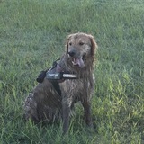 Entry image for Captain 