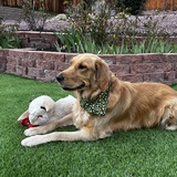 Entry image for Margo