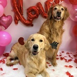 Entry image for Milo and Jake