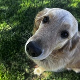 Entry image for Karma