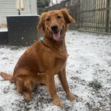 Entry image for Sadie Mitchell