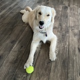 Entry image for Kirby