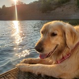 Entry image for Ellie Mae