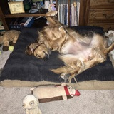 Entry image for Emily  Elizabeth 