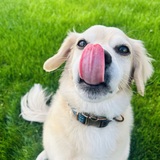 Entry image for Tallac