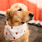 Entry image for Ranger 