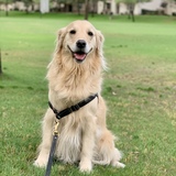 Entry image for Malibu 