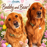 Entry image for Buddy & Bear
