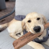 Entry image for Charlie 