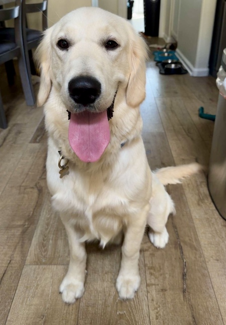 Entry image for Max. Clicking this image will show a larger photo