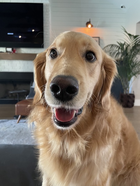 Entry image for Howard. Clicking this image will show a larger photo