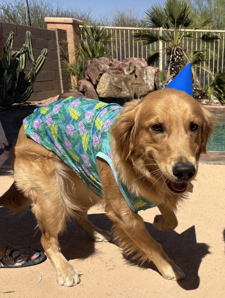 Entry image for Willy. Clicking this image will show a larger photo