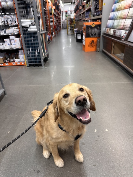 Entry image for Charlie. Clicking this image will show a larger photo