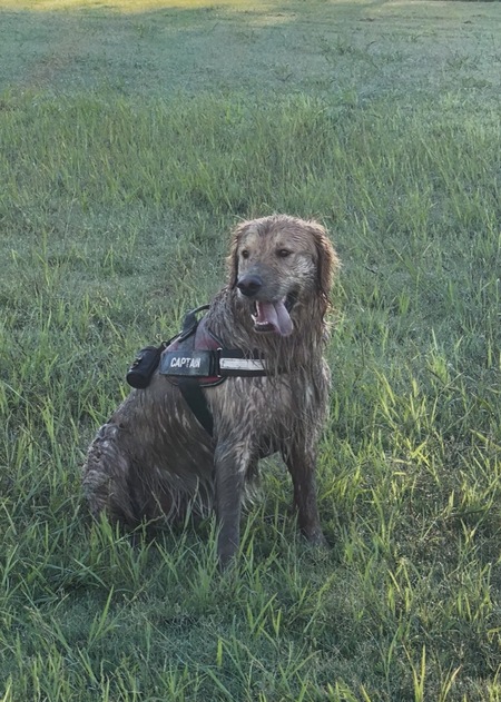 Entry image for Captain . Clicking this image will show a larger photo