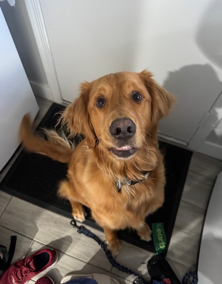 Entry image for Mac. Clicking this image will show a larger photo