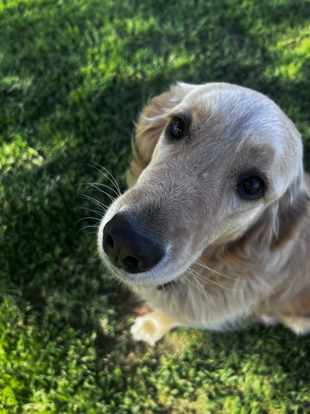 Entry image for Karma. Clicking this image will show a larger photo