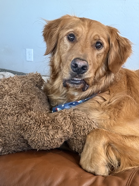 Entry image for Levi. Clicking this image will show a larger photo