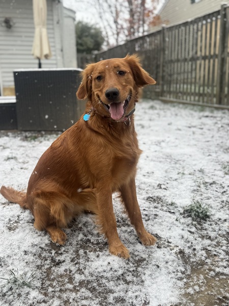 Entry image for Sadie Mitchell. Clicking this image will show a larger photo