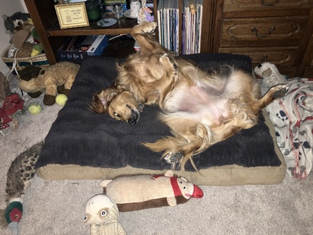 Entry image for Emily  Elizabeth . Clicking this image will show a larger photo