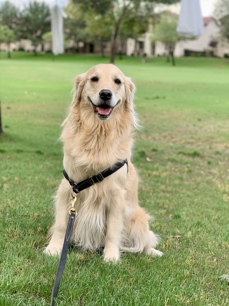 Entry image for Malibu . Clicking this image will show a larger photo