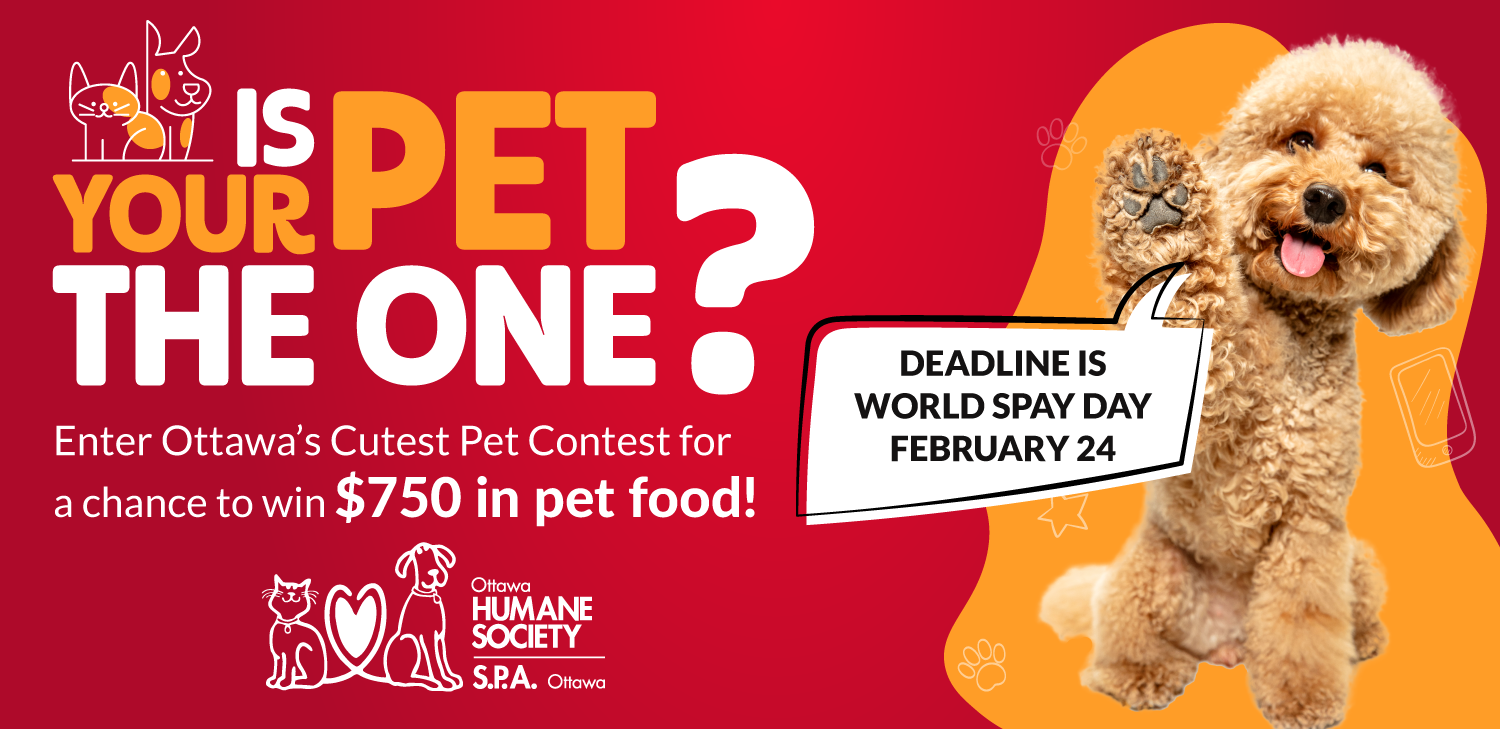 Banner for Ottawa's Cutest Pet 2026